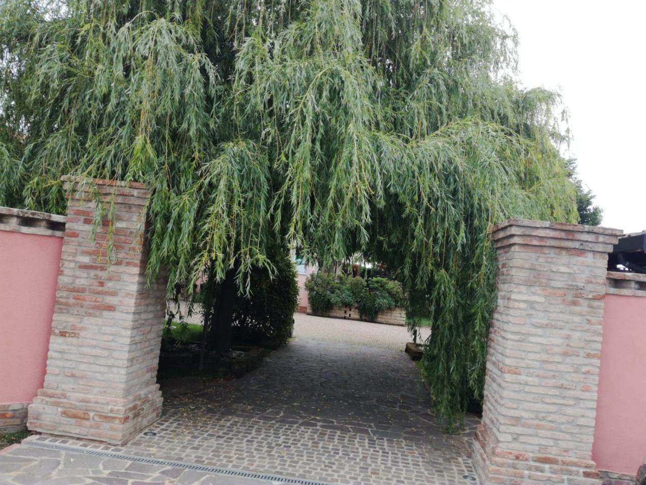 Agriturismo Ferretti Villa Massa Lombarda Exteriör bild
